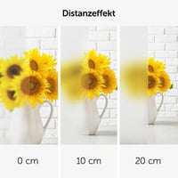 Blumtal okenná fólia 90x200 cm, samolepiaca statická fólia s efektom mliečneho skla, s UV ochranou a stierkou – nepriehľadná matná okenná fólia 3