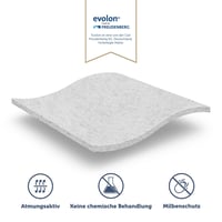 Blumtal antialergénny chránič matraca 140x200 cm, kompatibilný s 20 cm matracmi, antialergický poťah proti roztočom so zipsom, certifikát Oeko-Tex 4