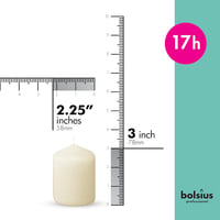 Bolsius 12 darabos Ivory Gyertyaszett Téli Fenyő Illattal 2