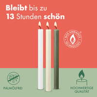 Rustikálne sviečky Bolsius, farba slonovinová kosť, 9 ks, 27 x 2,3 cm, doba horenia 13 hodín, bez vône, prírodný rastlinný vosk, bez palmového oleja 5