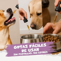 BootyBay Pets Purest Spanyol Fehér Üröm Kivonat - Folyékony Állatgyógyászati Készítmény Felnőtt Háziállatoknak, 60g 5