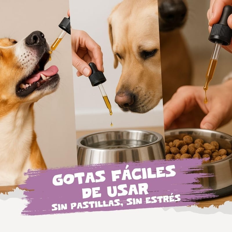 BootyBay Pets Purest Spanyol Fehér Üröm Kivonat - Folyékony Állatgyógyászati Készítmény Felnőtt Háziállatoknak, 60g