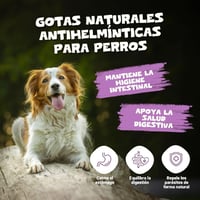 BootyBay Pets Purest Spanyol Fehér Üröm Kivonat - Folyékony Állatgyógyászati Készítmény Felnőtt Háziállatoknak, 60g 3