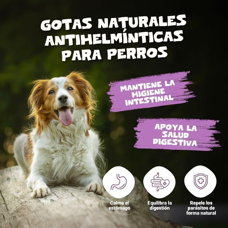 BootyBay Pets Purest Spanyol Fehér Üröm Kivonat - Folyékony Állatgyógyászati Készítmény Felnőtt Háziállatoknak, 60g