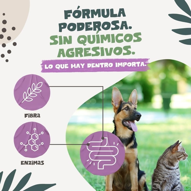 BootyBay Pets Purest Spanyol Fehér Üröm Kivonat - Folyékony Állatgyógyászati Készítmény Felnőtt Háziállatoknak, 60g