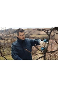 Foarfecă de grădină profesională cu acumulator Bosch Professional 12V – Adâncime de tăiere max. 25 mm în lemn, pentru ramuri 8