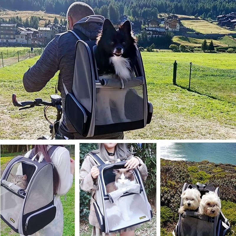 BOW CALICO Kisállat Hordozó Hátizsák 10 kg-ig - Összecsukható, Lélegző, Könnyű Szállítótáska Macskáknak, Kutyáknak, Repülőgépen is Használha
