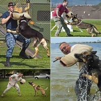 BOW CALICO kutyaharapás elleni kiképző karvédő pántos juta harapó hüvely piros fehér csíkos puskázáshoz védőkaromnak 6