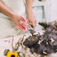 Bremorou 2db Fűszernövény Olló Rozsdamentes Acél Virág Bonsai Kert Metszőolló 6