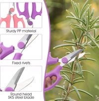 Bremorou 2db Fűszernövény Olló Rozsdamentes Acél Virág Bonsai Kert Metszőolló 3