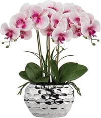 Briful 44 cm Phalaenopsis Orchidea Művirág Kerámia Kaspóban Otthon Dekorációhoz 1