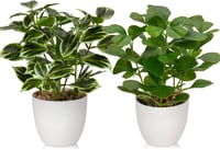 Briful Élethű Műnövény Szett - 2 db Kaspós Műficus Növény Lakásdekorációhoz, Fürdőszobába, Ablakpárkányra, Vízálló, 25 cm 1