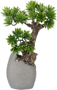 Briful Műbonsai Fa 35 cm - Élethű Műnövény Cement Cserépben, Vízálló Dekoráció Fürdőszobába, Irodába, Ablakpárkányra, Könnyű Műanyag 1
