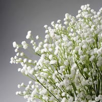 Briful Művirág Gypsophila Csokor - 10 db Időjárásálló Művirág Otthoni, Esküvői, Parti Dekorációhoz - Menta Krém Színben 5
