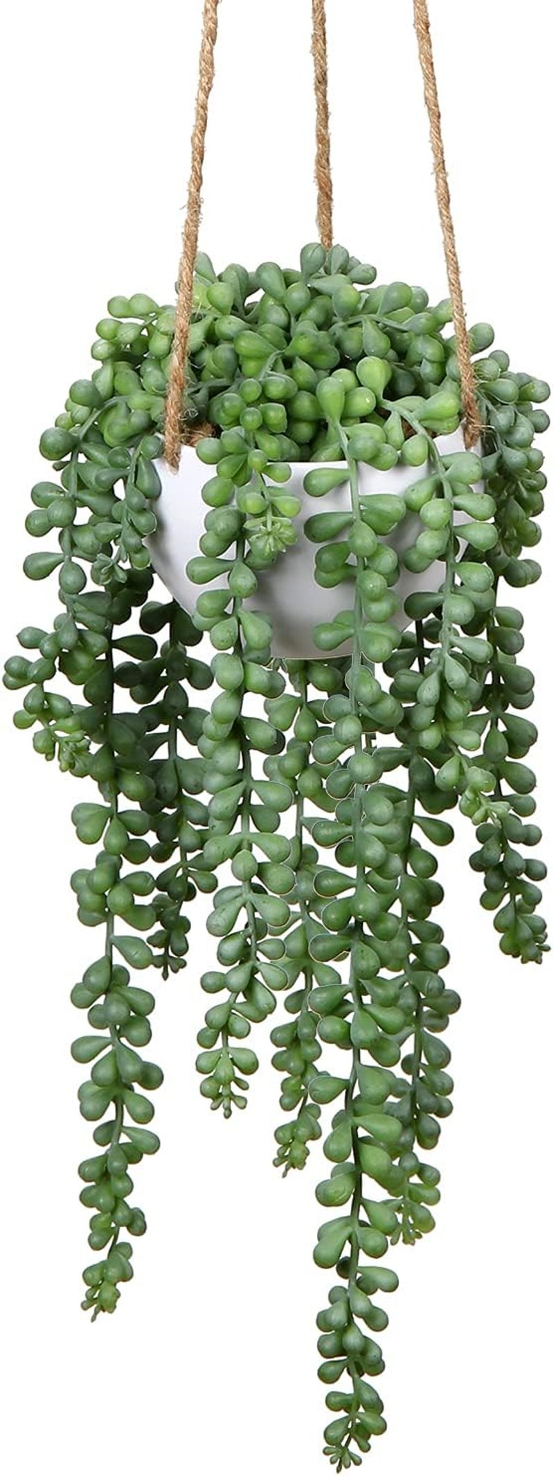 Briful Senecio Műnövény Függő Pozsgás 35,5 cm - Élethű Művirág Dekoráció Műanyag Kosárban, Karbantartást Nem Igényel, Otthonba, Irodába
