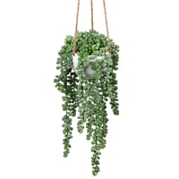 Briful Senecio Umjetna Viseća Sukulentna Biljka 35,5 cm - Realistična Umjetna Dekoracija Cvijeća u Plastičnoj Košari, Ne Zahtijeva Održavanje, Za Dom, Ured 1