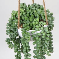 Briful Senecio Műnövény Függő Pozsgás 35,5 cm - Élethű Művirág Dekoráció Műanyag Kosárban, Karbantartást Nem Igényel, Otthonba, Irodába 6