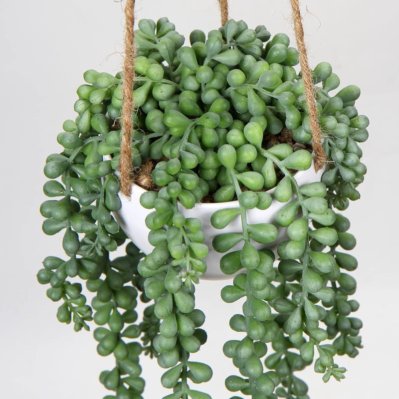 Briful Senecio Műnövény Függő Pozsgás 35,5 cm - Élethű Művirág Dekoráció Műanyag Kosárban, Karbantartást Nem Igényel, Otthonba, Irodába