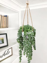 Briful Senecio Műnövény Függő Pozsgás 35,5 cm - Élethű Művirág Dekoráció Műanyag Kosárban, Karbantartást Nem Igényel, Otthonba, Irodába 7