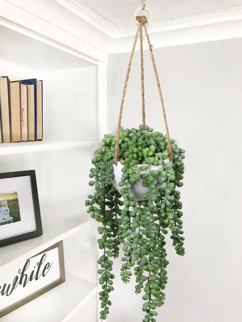 Briful Senecio Műnövény Függő Pozsgás 35,5 cm - Élethű Művirág Dekoráció Műanyag Kosárban, Karbantartást Nem Igényel, Otthonba, Irodába