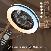 Ventilator de tavan BRILONER CCT cu lampă, 5 viteze, telecomandă, reglabil (dimmable), temporizator, pentru dormitor și sufragerie, 48,5x14,5 cm, negru 2