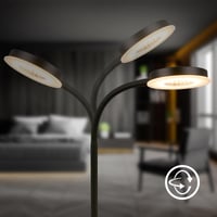 Lampă de birou LED BRILONER cu control tactil, reglabilă treptat, rotativă, lampă de citit, veioză, Home Office, 32,5x13x40 cm, negru 5