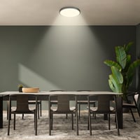 BRILONER LED stropné svietidlo s dekoratívnym panelom, 17,5W, 2400lm, teplé biele svetlo, 33x6 cm, čierne, osvetlenie do obývačky, kuchyne a predsiene 5