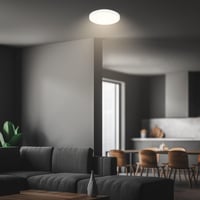 Plafonieră LED BRILONER cu panou decorativ, lumină alb cald, 10W, 1200lm, iluminat pentru living, bucătărie, hol, 24x6 cm, alb 3