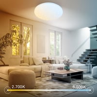 BRILONER LED stropna svjetiljka s daljinskim upravljačem, prigušiva, CCT, efekt zvjezdanog neba, 24W, 2600 lm, 34x6 cm, bijela, za dnevni boravak i spavaću sobu 8