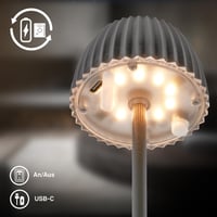 Lampă de masă LED BRILONER Riffle Nano, fără fir, IP44, variator tactil, baterie înlocuibilă, lampă de noptieră, 6x15,5 cm, antracit 10