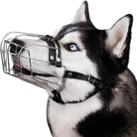 BRONZEDOG Állítható Kosár Szájkosár Kutyáknak - Rozsdamentes Acél, Bőrpánttal, Lélegző, Ivást Engedő, Harapásgátló - Husky, Doberman Méretű  - Stainless steel 1