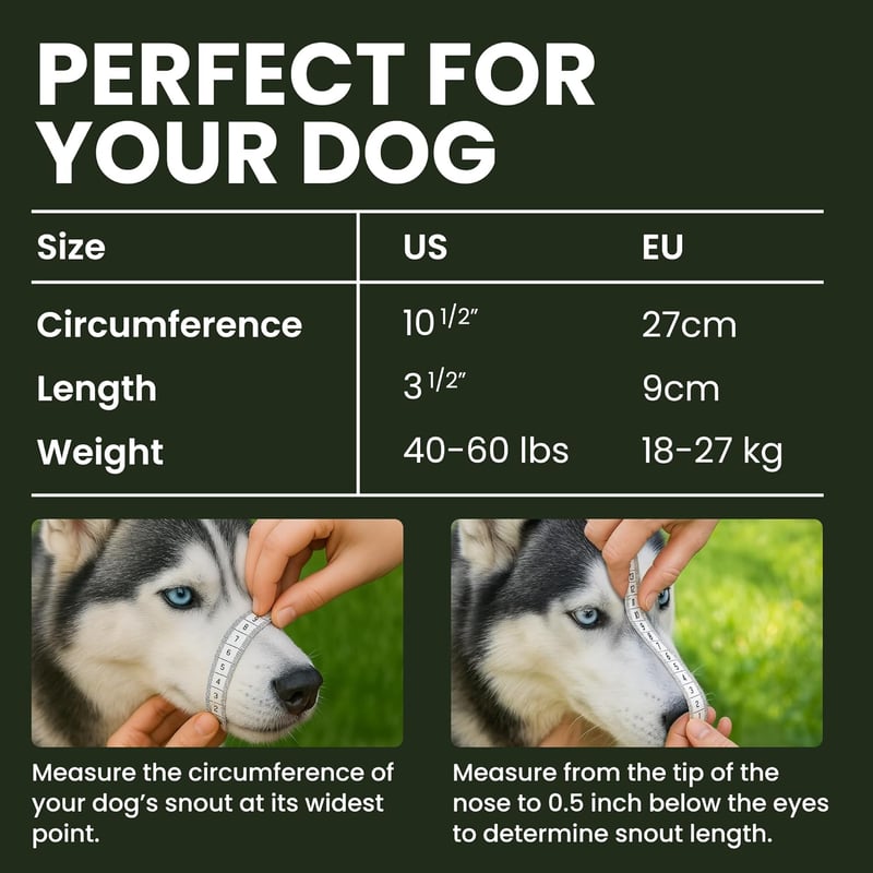 BRONZEDOG Állítható Kosár Szájkosár Kutyáknak - Rozsdamentes Acél, Bőrpánttal, Lélegző, Ivást Engedő, Harapásgátló - Husky, Doberman Méretű  - Stainless steel