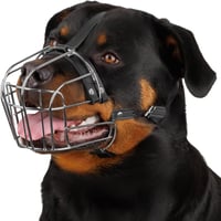 BRONZEDOG Állítható Kutyaszájkosár Nagyobb Kutyáknak Rozsdamentes Acél Vezetékkel Bőr Szíjakkal 1