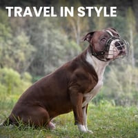 BronzeDog Fém Kutyaszájkosár Amstaff Állítható Bőr Szíjakkal Nagy Kutyáknak 7