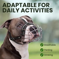 BronzeDog Fém Kutyaszájkosár Amstaff Állítható Bőr Szíjakkal Nagy Kutyáknak 5