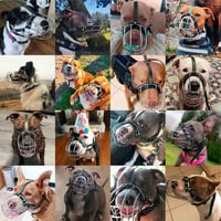 BronzeDog Fém Kutyaszájkosár - Amstaff Drótháló Kosár Állítható Bőrpántokkal Nagy Testű Kutyáknak, Kültéri Használatra 5