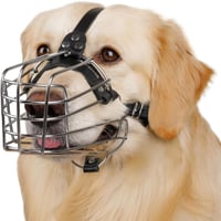 BRONZEDOG Fém Kutyaszájkosár Bőr Pántokkal - Állítható Drótszájkosár Belga Juhászkutyáknak és Golden Retrievereknek - Közepes Méret, Acél 1