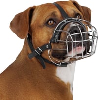 BRONZEDOG Kutyaszájkosár Fém Közepes-Nagy Kutyáknak Pitbull Amstaff 4-es Méret 1