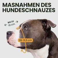 BRONZEDOG Pitbull Szájkosár Fém Maszk Amstaff Állítható Bőr Szíjjal Nagyobb Kutyáknak Fekete 2