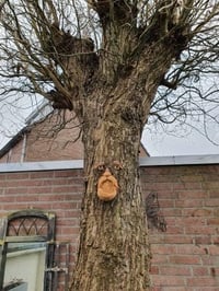 BTMIEY Fa Ölelő Öreg Ember Madáretető - Kültéri és Beltéri Műgyanta Kerti Dekoráció, Egyedi Vicces Fa Díszítő Figura, Könnyen Rögzíthető 4