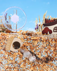 Așternut pentru hamsteri BUCATSTATE 15L - 99,9% fără praf, așternut din hârtie certificat FSC pentru iepuri, porcușori de Guineea și rozătoare, cu aromă de vată de zahăr 7