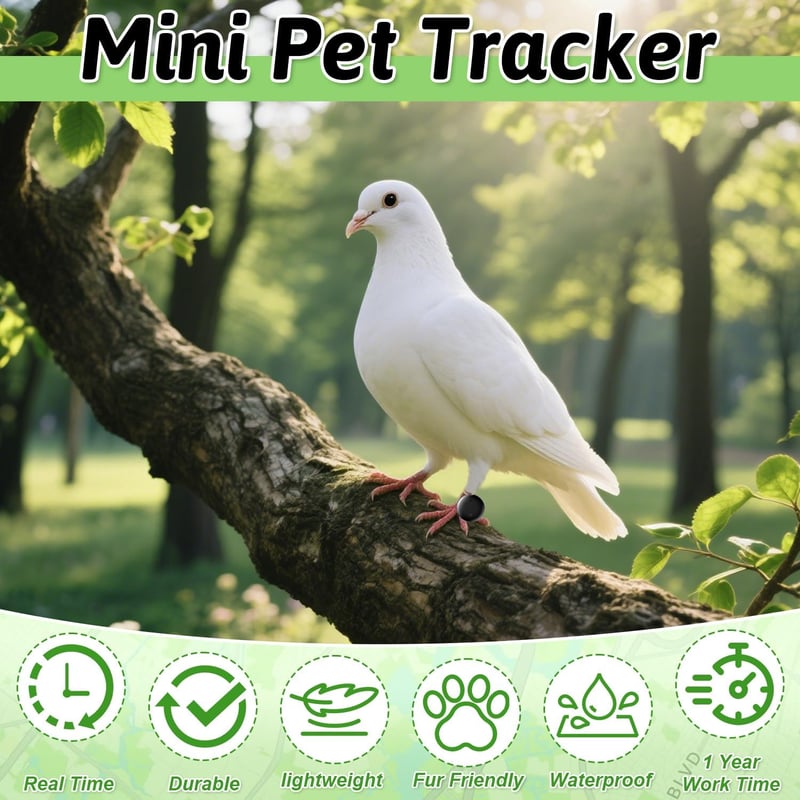 Bukbas Mini GPS nyomkövető macskáknak és kutyáknak, okos tracker iOS Android kompatibilis
