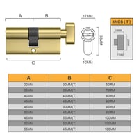 Bwintech 40T/40mm Euro Mosadzný Cylindrický Zámok - 5-Kľúčová Bezpečnostná Vložka Zámku s Ochrannou Proti Vlámaniu, Odolnosťou Proti Vŕtaniu, v Leštenej Mosadznej Úprave 2