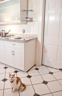 PetSafe Mini Kisállat Elterelő Rendszer - Kompakt Védelmi Zóna 6