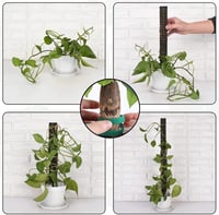 RURIZHONGTIAN-1 Monstera Növénytámasz Szett - 6 db Mohakaró, Kókuszrost Rúd, Kúszónövény Támasz, Beltéri Növényekhez, Filodendronhoz 6