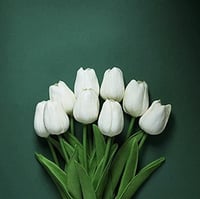 Anaoo 24 db Fehér Latex Műtulipán - Esküvői és Otthoni Dekoráció 3