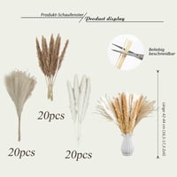 Boho Stílusú 60 Szálas Szárított Pampafű Csokor Otthoni Dekorációhoz 3