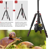 CAMOLO Állvány Fényképezőgéphez 190 cm, Hordozható DSLR Tripod 360° Panoráma Fejjel, Alumínium Monopod 15 kg Teherbírás Canon 7