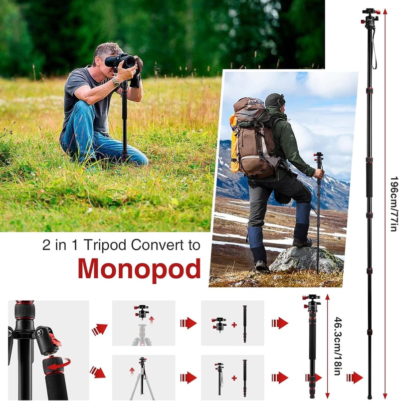 CAMOLO Állvány Fényképezőgéphez 190 cm, Hordozható DSLR Tripod 360° Panoráma Fejjel, Alumínium Monopod 15 kg Teherbírás Canon