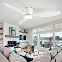 CANEOE LED Mennyezeti Ventilátor Távirányítóval, Csendes DC Motor, 106 cm Dimmelhető Lámpa 2